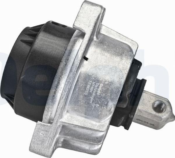 Delphi TEM255 - Подушка, підвіска двигуна autozip.com.ua