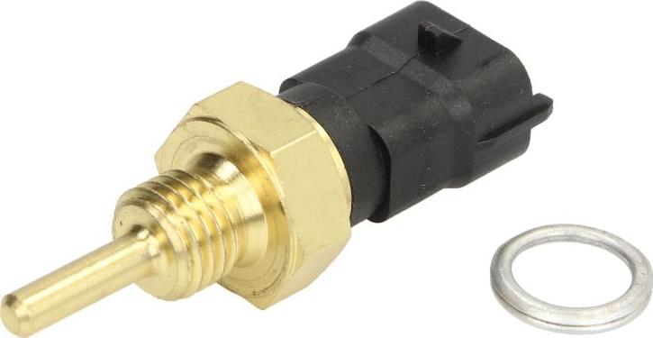 Delphi TS10340 - Датчик, температура охолоджуючої рідини autozip.com.ua