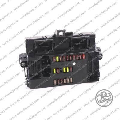 Dipasport BODYBCM250I09R - Блок управління, управління двигуном ЕБУ autozip.com.ua