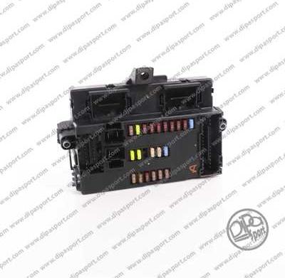 Dipasport BODYBCM250I01R - Блок управління, управління двигуном ЕБУ autozip.com.ua