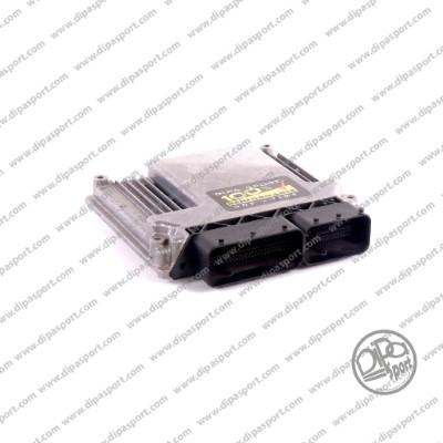 Dipasport EDEDC17CP02311536R - Блок управління, система уприскування autozip.com.ua