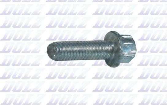 DOLZ 02KCP013 - Болт autozip.com.ua