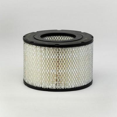 Donaldson P526756 - Повітряний фільтр autozip.com.ua