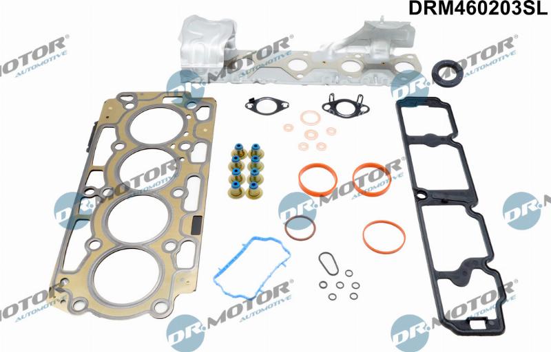 Dr.Motor Automotive DRM460203SL - Комплект прокладок, двигун autozip.com.ua