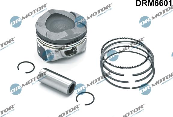 Dr.Motor Automotive DRM6601 - Поршень autozip.com.ua