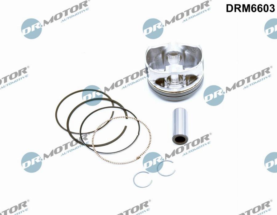 Dr.Motor Automotive DRM6603 - Поршень autozip.com.ua