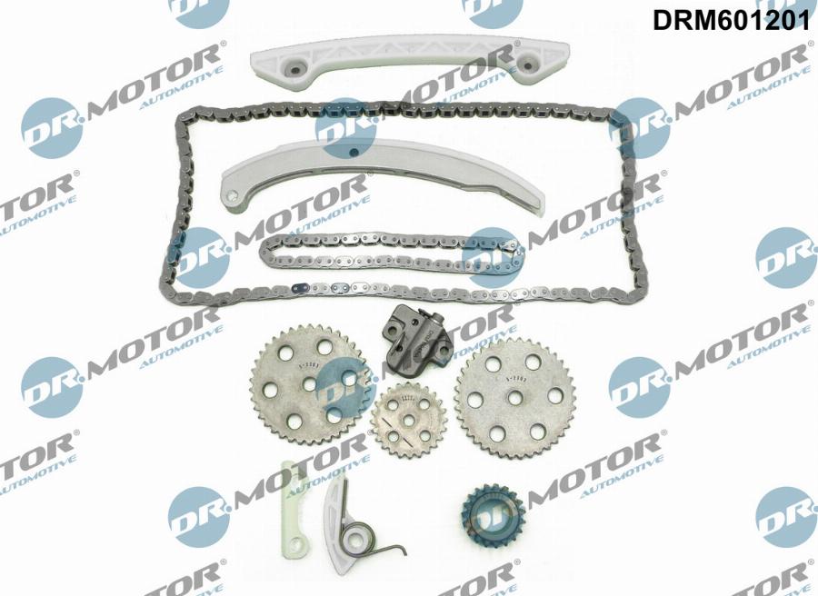 Dr.Motor Automotive DRM601201 - Комплект ланцюга приводу распредвала autozip.com.ua