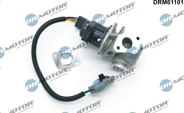 Dr.Motor Automotive DRM61101 - Клапан повернення ОГ autozip.com.ua