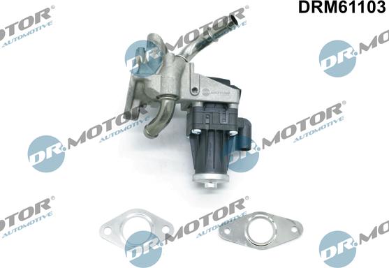 Dr.Motor Automotive DRM61103 - Клапан повернення ОГ autozip.com.ua