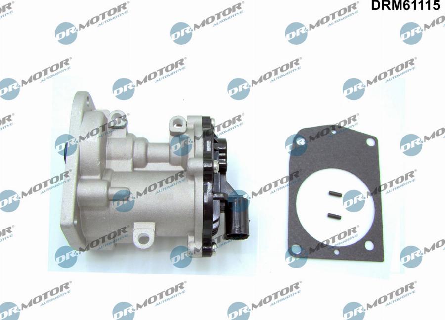 Dr.Motor Automotive DRM61115 - Клапан повернення ОГ autozip.com.ua