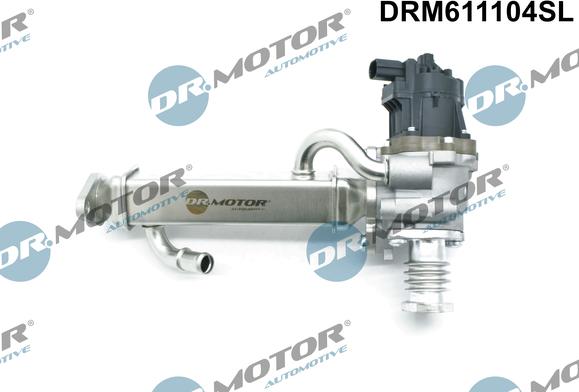 Dr.Motor Automotive DRM611104SL - Клапан повернення ОГ autozip.com.ua