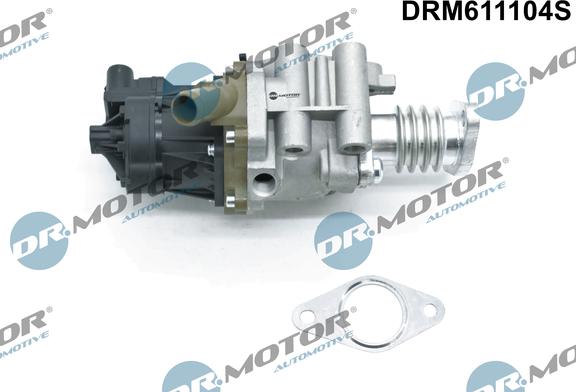 Dr.Motor Automotive DRM611104S - Клапан повернення ОГ autozip.com.ua