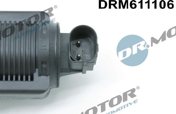 Dr.Motor Automotive DRM611106 - Клапан повернення ОГ autozip.com.ua