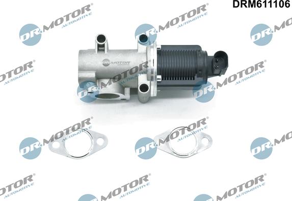 Dr.Motor Automotive DRM611106 - Клапан повернення ОГ autozip.com.ua