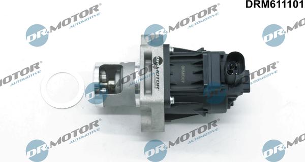 Dr.Motor Automotive DRM611101 - Клапан повернення ОГ autozip.com.ua