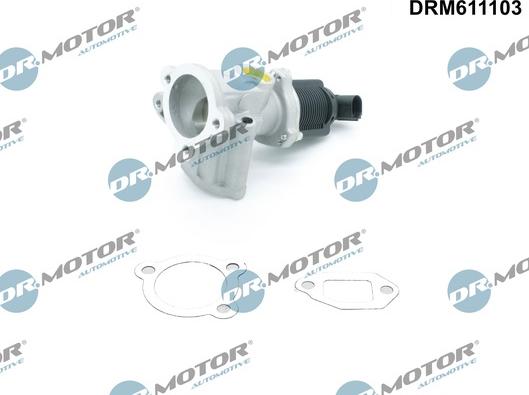 Dr.Motor Automotive DRM611103 - Клапан повернення ОГ autozip.com.ua