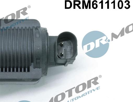 Dr.Motor Automotive DRM611103 - Клапан повернення ОГ autozip.com.ua