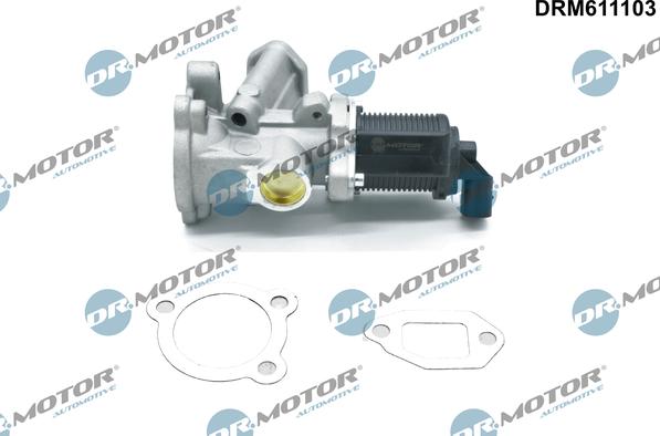 Dr.Motor Automotive DRM611103 - Клапан повернення ОГ autozip.com.ua