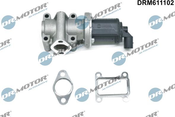 Dr.Motor Automotive DRM611102 - Клапан повернення ОГ autozip.com.ua