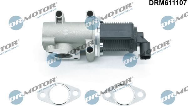 Dr.Motor Automotive DRM611107 - Клапан повернення ОГ autozip.com.ua