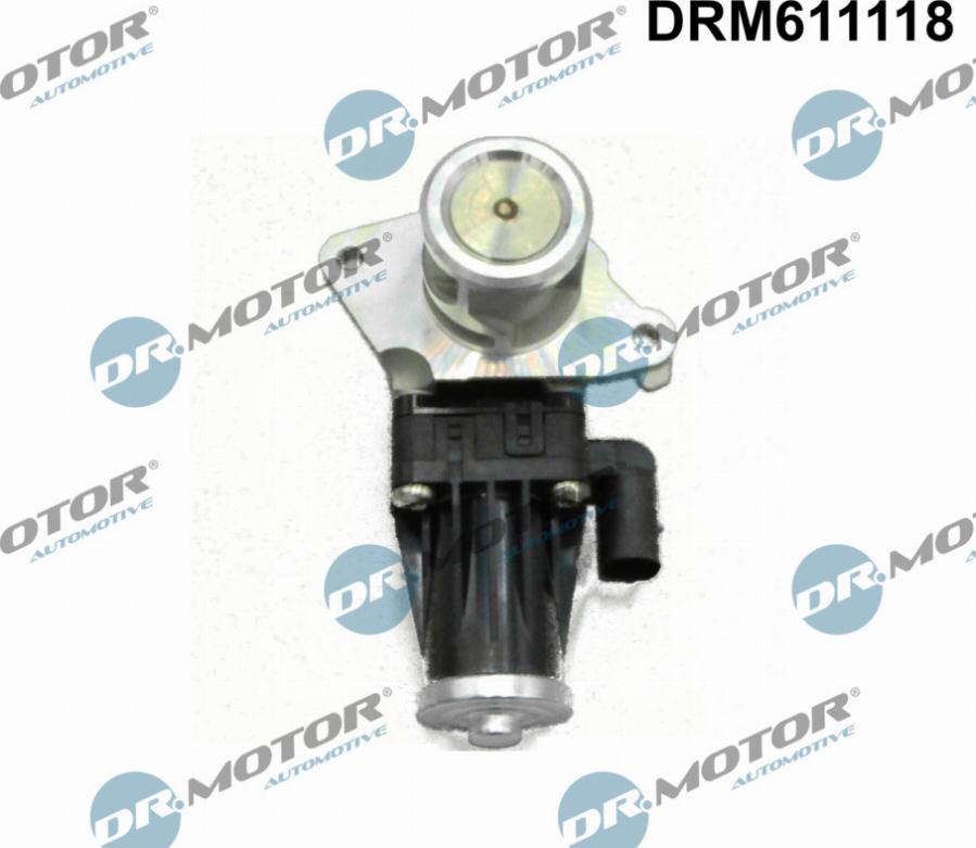 Dr.Motor Automotive DRM611118 - Клапан повернення ОГ autozip.com.ua