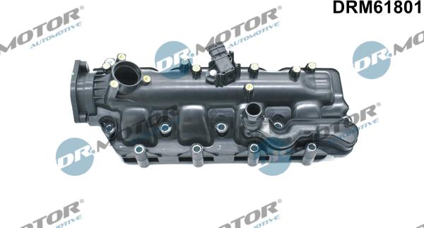 Dr.Motor Automotive DRM61801 - Модуль впускний труби autozip.com.ua