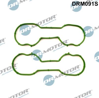 Dr.Motor Automotive DRM091S - Комплект прокладок, впускний колектор autozip.com.ua