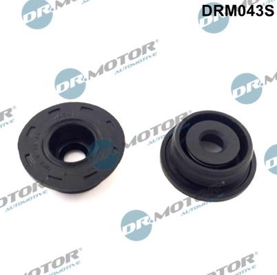 Dr.Motor Automotive DRM043S - Комплект прокладок, кришка головки циліндра autozip.com.ua