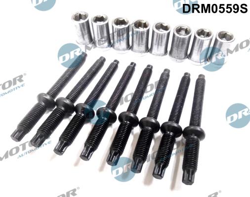 Dr.Motor Automotive DRM0559S - Болт, кріплення форсунки autozip.com.ua