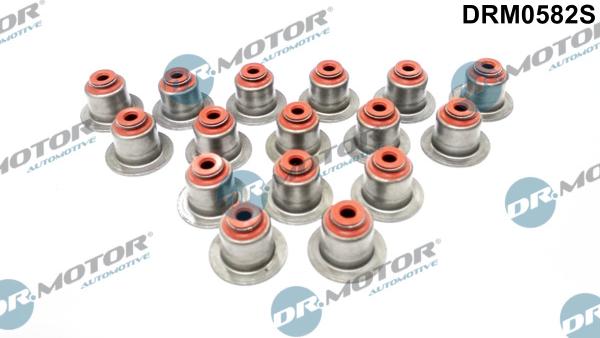 Dr.Motor Automotive DRM0582S - Комплект прокладок, стержень клапана autozip.com.ua