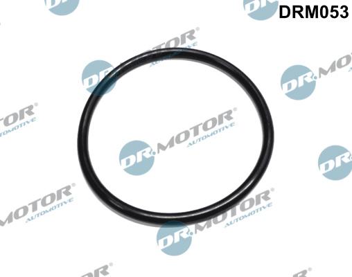 Dr.Motor Automotive DRM053 - Прокладка, фільтр очищення палива autozip.com.ua