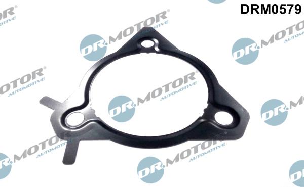 Dr.Motor Automotive DRM0579 - Прокладка, паливний насос високого тиску autozip.com.ua