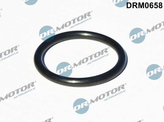 Dr.Motor Automotive DRM0658 - Прокладка, впуск в турбіну (компресор) autozip.com.ua