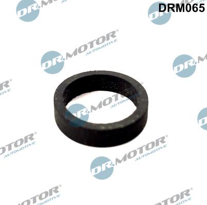 Dr.Motor Automotive DRM065 - Прокладка, вентиляція картера autozip.com.ua