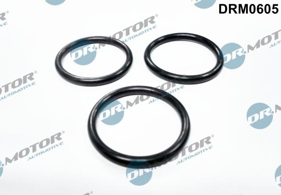 Dr.Motor Automotive DRM0605 - Прокладка, водяний насос autozip.com.ua