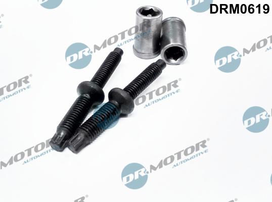 Dr.Motor Automotive DRM0619 - Болт, кріплення форсунки autozip.com.ua