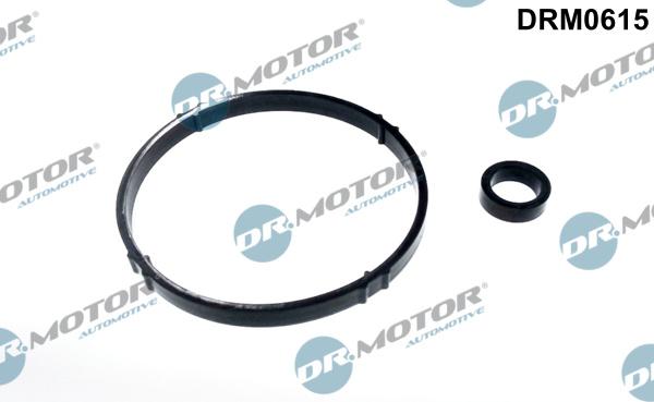 Dr.Motor Automotive DRM0615 - Комплект прокладок, масляний радіатор autozip.com.ua