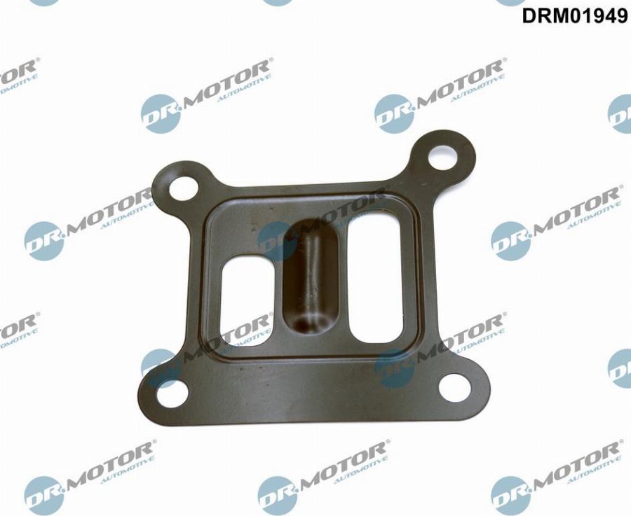 Dr.Motor Automotive DRM01949 - Прокладка, водяний насос autozip.com.ua