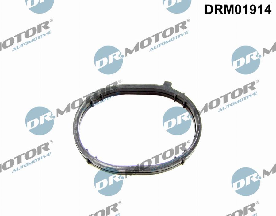 Dr.Motor Automotive DRM01914 - Прокладка, впускний колектор autozip.com.ua