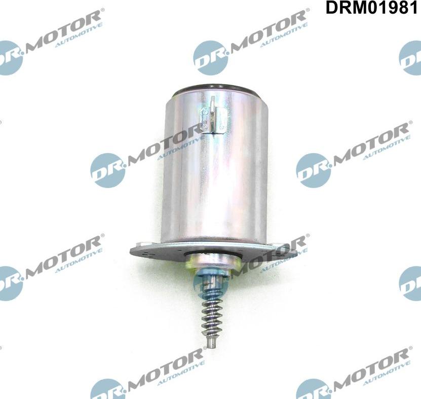 Dr.Motor Automotive DRM01981 - Регулюючий клапан, виставлення розподільного вала autozip.com.ua