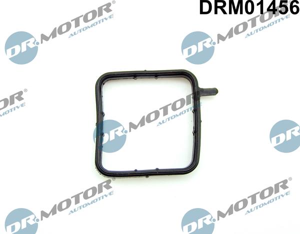 Dr.Motor Automotive DRM01456 - Прокладка, трубка охолоджуючої рідини autozip.com.ua