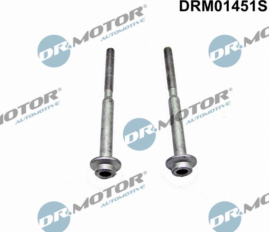 Dr.Motor Automotive DRM01451S - Болт, кріплення форсунки autozip.com.ua