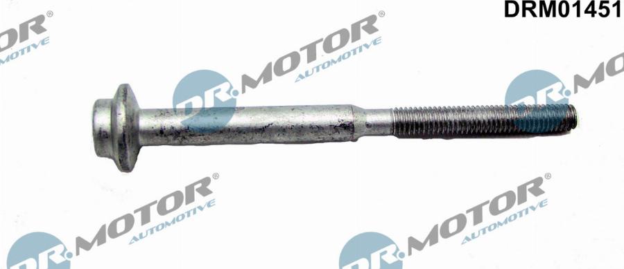 Dr.Motor Automotive DRM01451 - Болт, кріплення форсунки autozip.com.ua