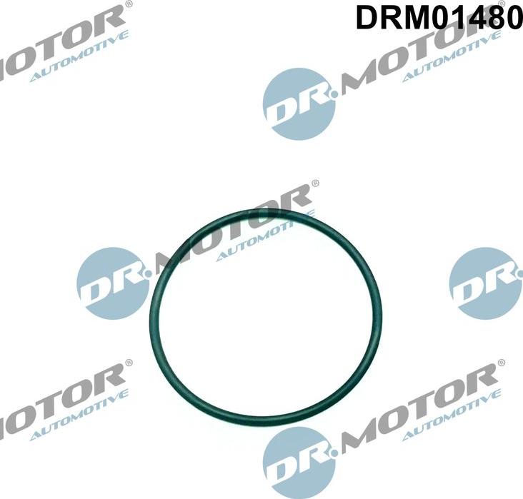 Dr.Motor Automotive DRM01480 - Прокладка, паливний насос високого тиску autozip.com.ua