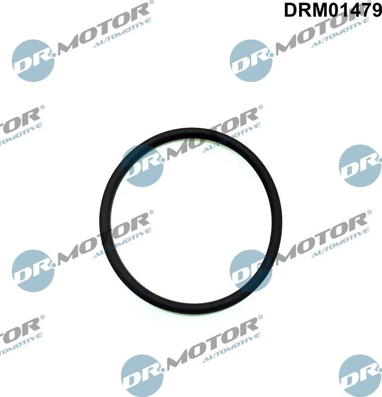 Dr.Motor Automotive DRM01479 - Прокладка, паливний насос високого тиску autozip.com.ua