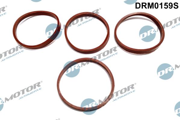 Dr.Motor Automotive DRM0159S - Комплект прокладок, впускний колектор autozip.com.ua