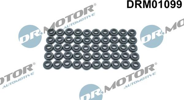 Dr.Motor Automotive DRM01099 - Прокладка, болт кришка головки циліндра autozip.com.ua