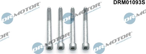 Dr.Motor Automotive DRM01093S - Болт, кріплення форсунки autozip.com.ua