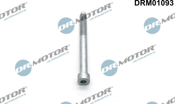 Dr.Motor Automotive DRM01093 - Болт, кріплення форсунки autozip.com.ua