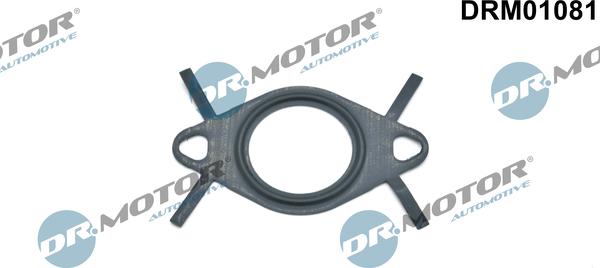 Dr.Motor Automotive DRM01081 - Прокладка, трубка клапана повернення ОГ autozip.com.ua